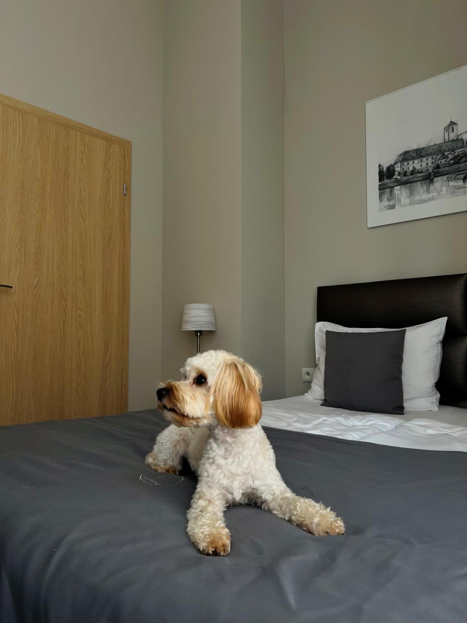 Joyinn Aparthotel Вроцлав Екстериор снимка